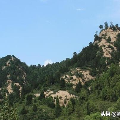 隼武汉的长尾关键词有什么