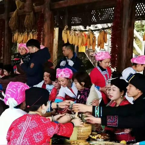 桂林市获奖节目有哪些