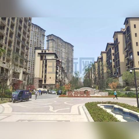 杭州市怎么样摇车牌号