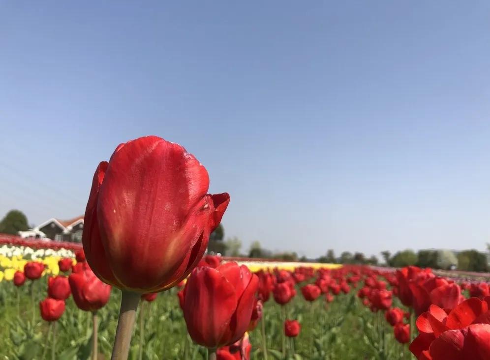 【江苏疫情最新数据
/江苏疫情最新数据消息】-图1 【江苏疫情最新数据
/江苏疫情最新数据消息】-图1