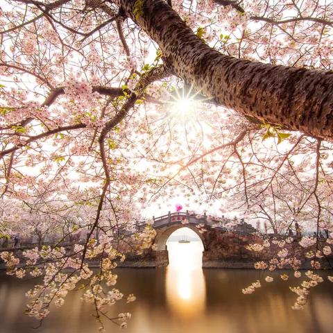 桂林职工退休流程是什么相关长尾关键词有哪些