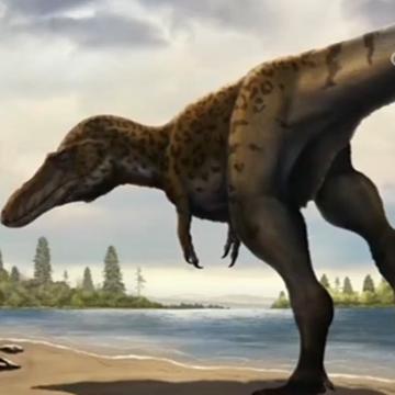 赣州市整体地质的长尾关键词有什么