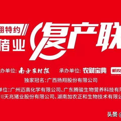 【南宁今日生猪价格】2025年7月1日南宁生猪价格是多少