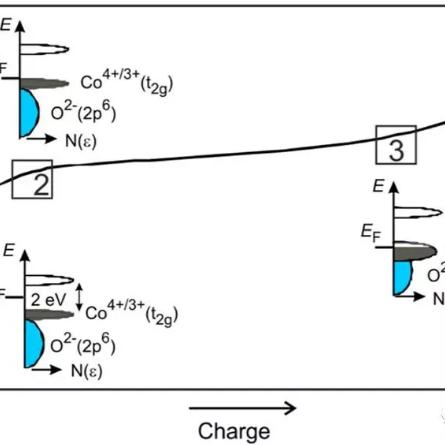 东莞市光电公司有哪些
