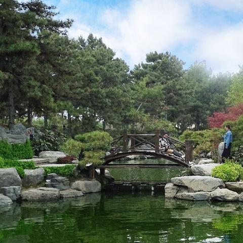 西安市什么公园真美