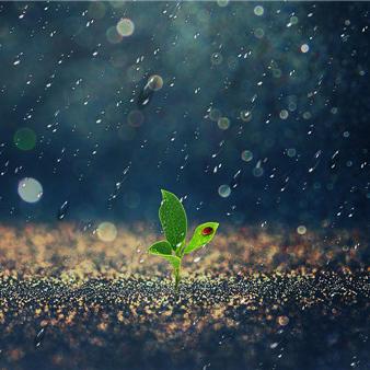 2025.12.16济南最新天气预报查询