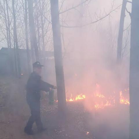 临沂市村委选监督电话的长尾关键词有什么