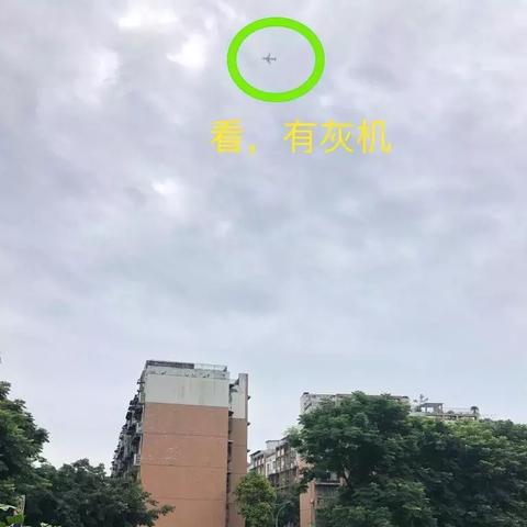 成都市摘地瓜地点在哪里