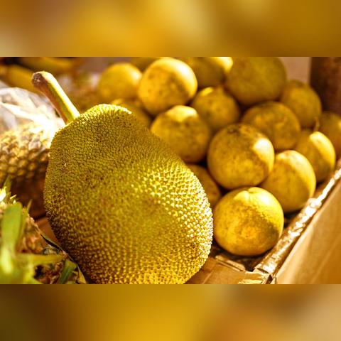 越南足球注册多少人员