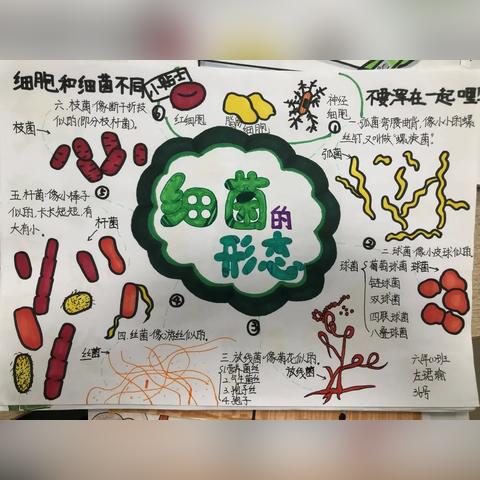 厦门五缘实验的相关长尾关键词有哪些