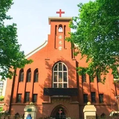 武汉市现在有什么花