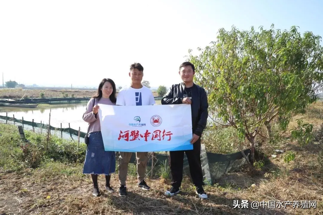 养貉子赚钱吗 养山鸡赚钱吗