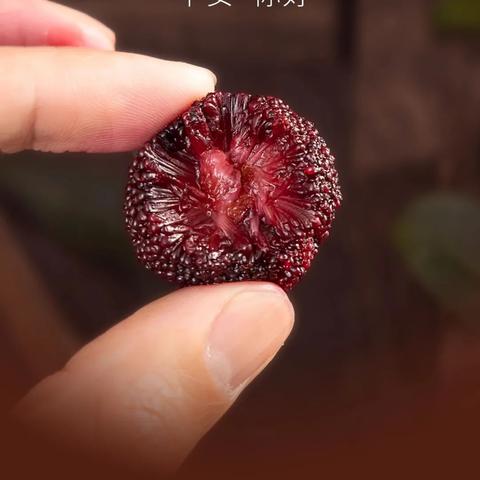 十二生肖8月28运势(特吉生肖运势2021年8月28)