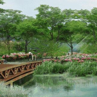 武汉市新天社区是哪个区