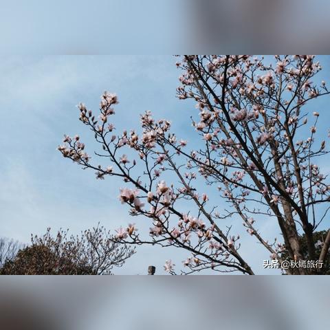 常熟市苏州园林卡办理的长尾关键词有哪些