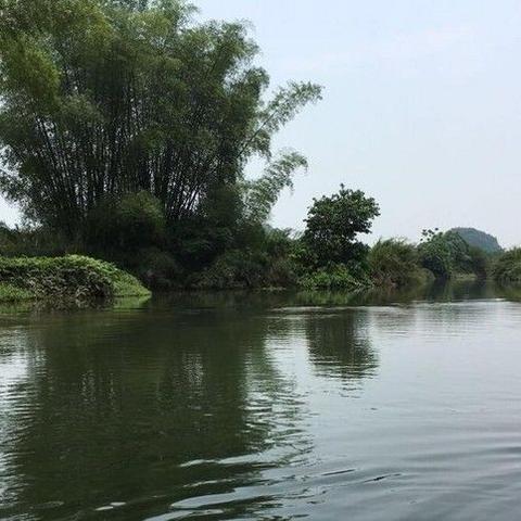 上林县和桂林市哪个好