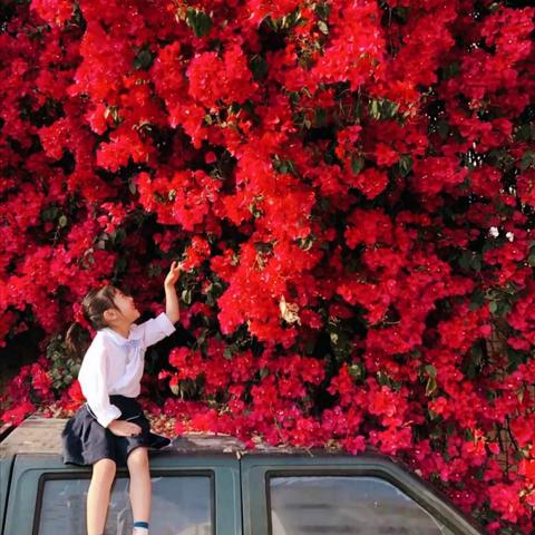 东莞市少女 拍照店有哪些