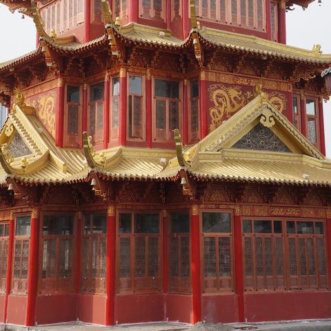 成都市运动会门票怎么买