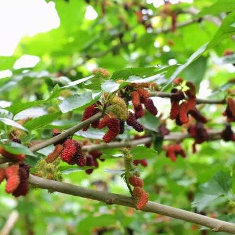 南宁市十斗半烧烤怎么样