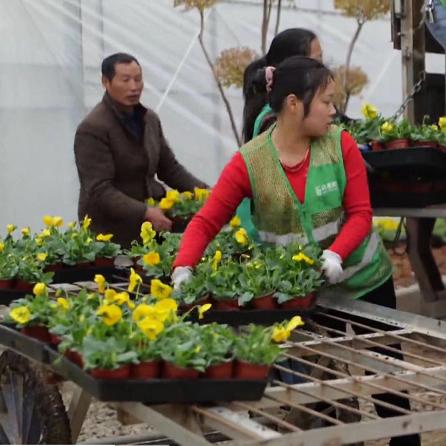 南昌湾里天气24小时的长尾关键词有什么