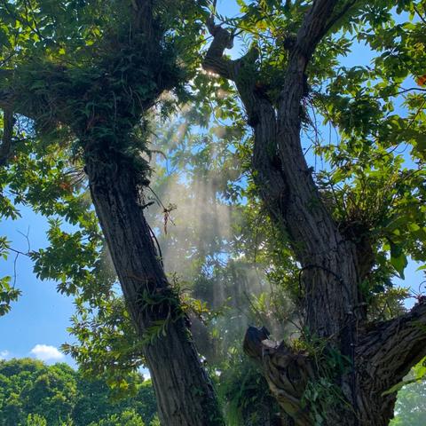 南宁市20中和24中比较？