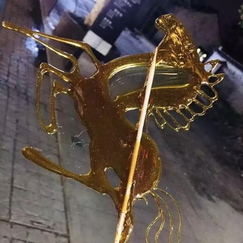 无锡市哪里可以买狗狗狗