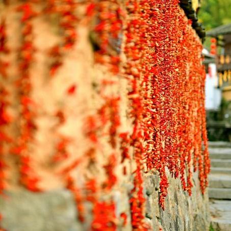 福建立秋当天吃什么？