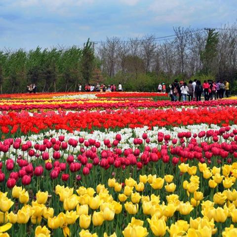 沈阳市5中和30哪个好