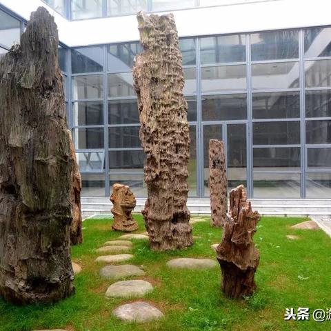 sh开头的城市？