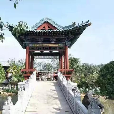 去南宁园博园需要准备什么？