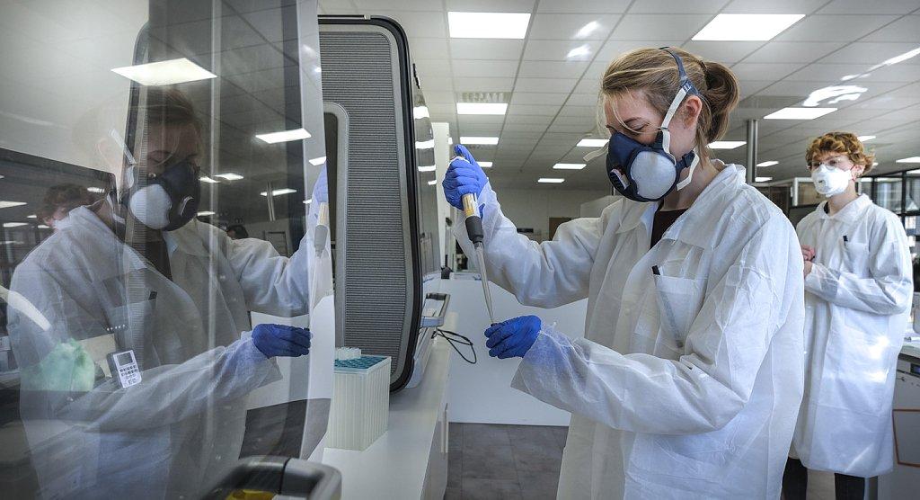 河北邢台新增2例外省输入无症状
 ,河北邢台新增2例外省输入新冠病毒阳性无症状感染者