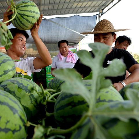 河南全面建设小康社会的相关长尾关键词有哪些