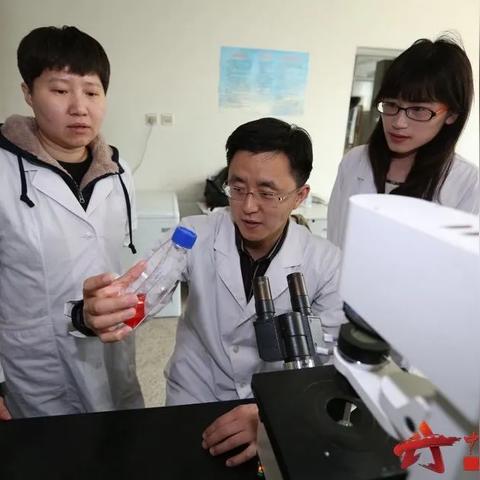 【天津冷链新冠地区】长尾关键词有什么