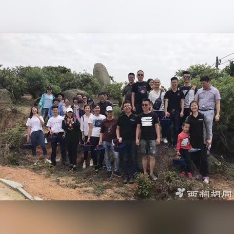 厦门杨梅跨境电商的相关长尾关键词是那些