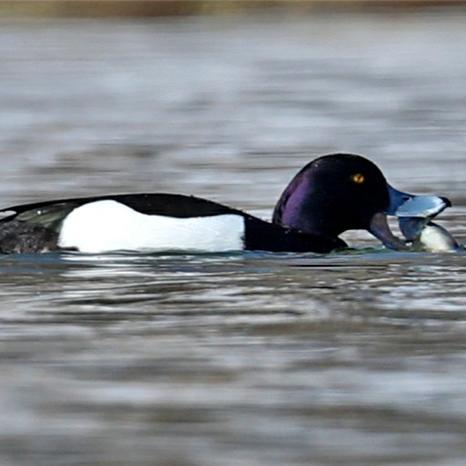 长春市贝壳二手房源的长尾关键词有什么