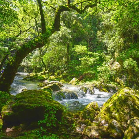 池州市最低气温的长尾关键词有哪些