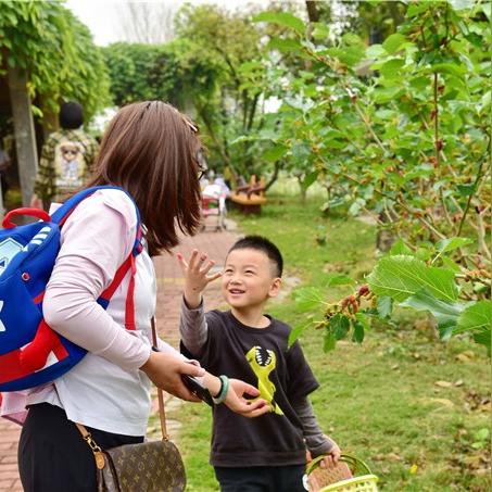 广东省佛山市清明用品批发的长尾关键词有哪些