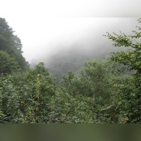 保定市河流漂流有哪些名字