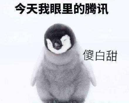 天龙八部：鹅不哭！价值1600元防骗指南，在线挑战一切骗术
