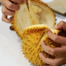 天津先进仓储怎么样