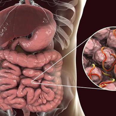 亚硝酸铵.亚硝酸铵对人体有什么危害? 亚硝酸铵.亚硝酸铵对人体有什么危害?