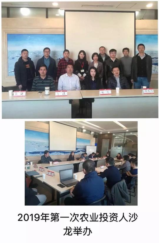 挥别2019，展望2020，为了三农创业创新，农投会将要这么干