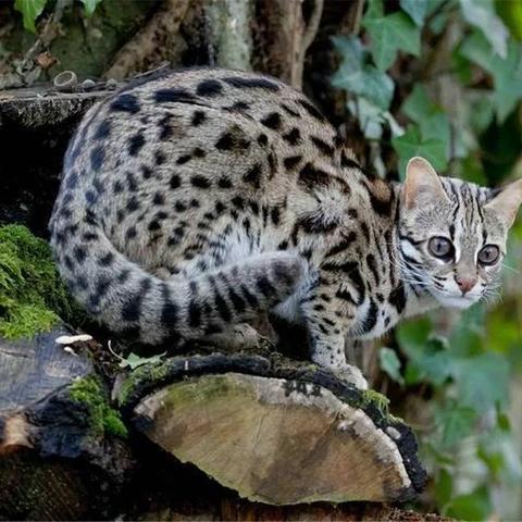 河南勘察设备的相关长尾关键词有哪些