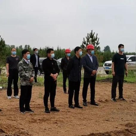 临沂市大豆产地在哪里啊