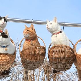 2016年泰州天气的长尾关键词有什么