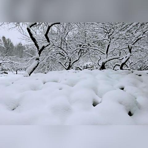武汉未来20天天气预报的长尾关键词有哪些