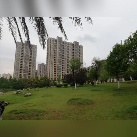 武汉市哪一年入选湿地公园？