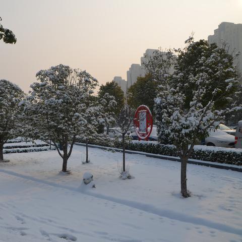 河南都是哪个限号