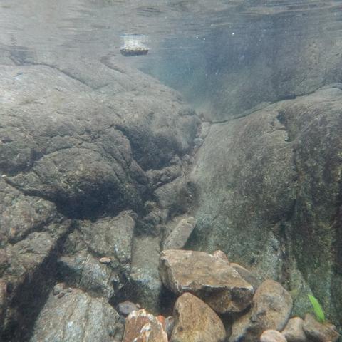 杭州市如鸟镇是哪个区