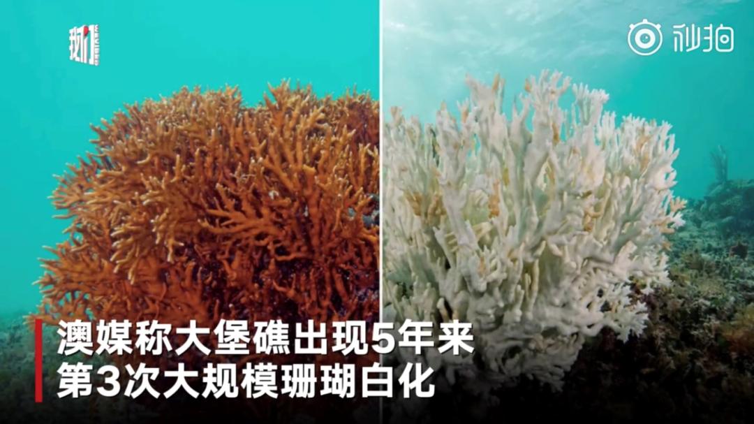 【吉林市疫情
 ,吉林市疫情封城是哪一年】